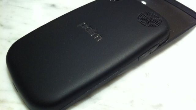 Palm