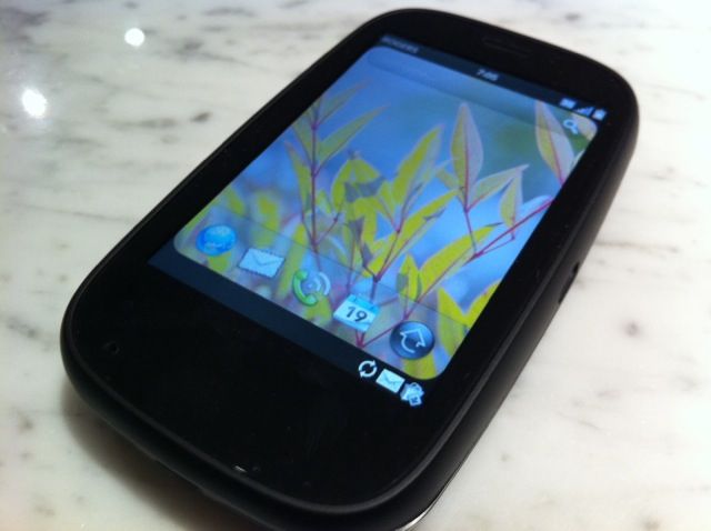 Palm comes back to life: “Now is the time to revive and bring back this pioneer spirit”