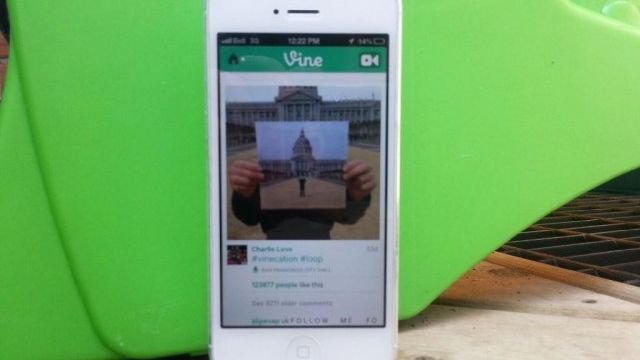 Vine