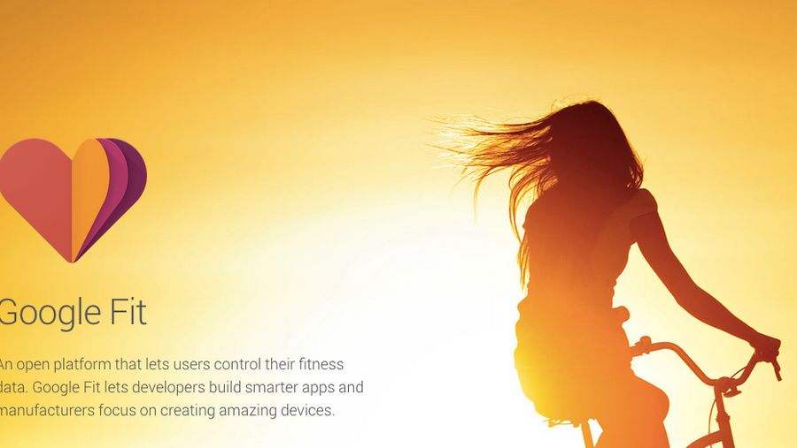 Google Fit developer SDK
