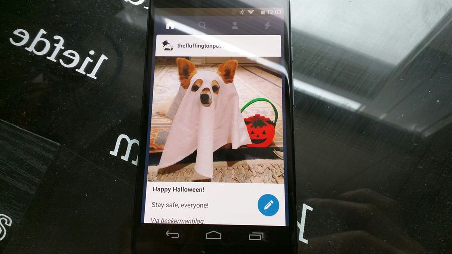Tumblr for Android