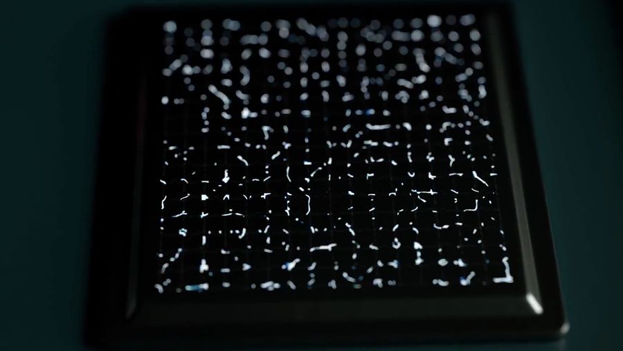 Exynos Processor