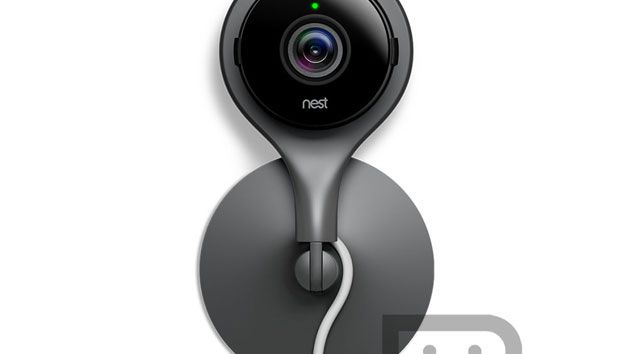 Nest Cam Leak