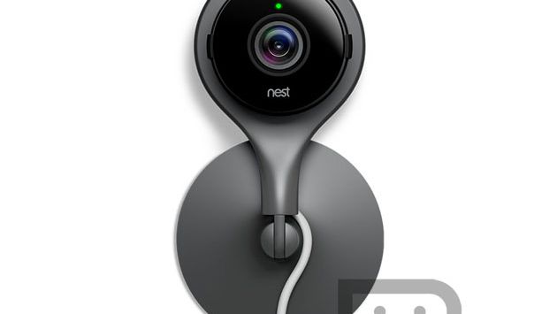 Nest Cam Leak