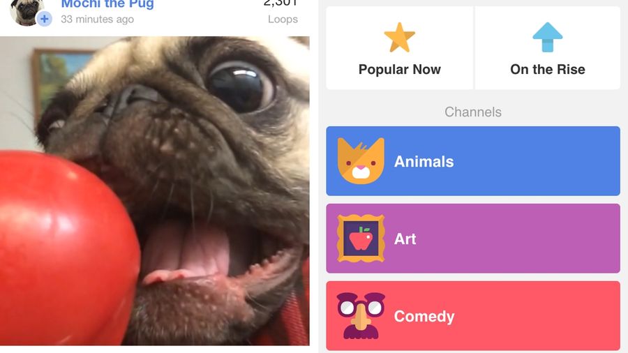 Vine for iOS