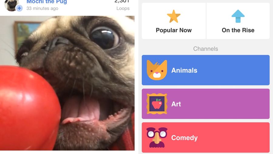 Vine for iOS