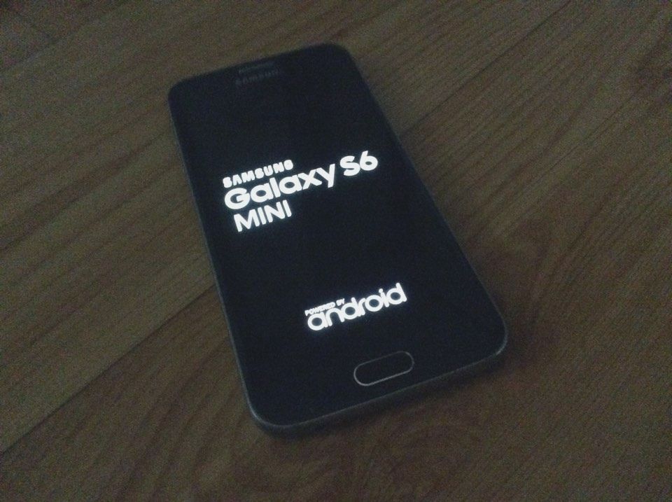 Samsung Galaxy S6 mini leaks online