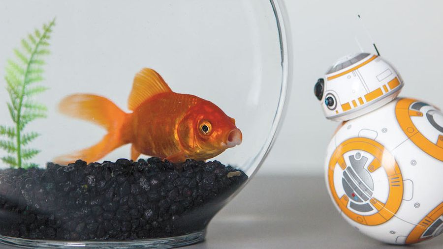 BB 8