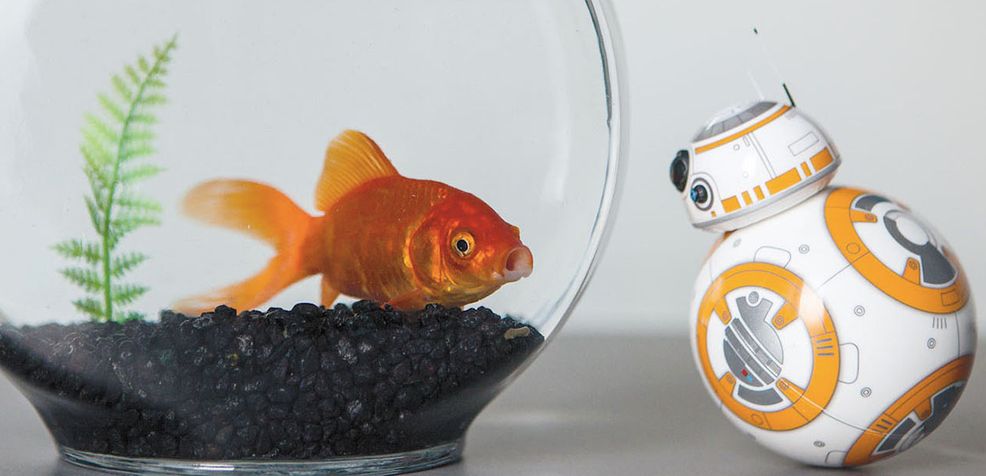 BB 8