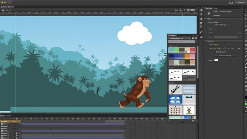 Adobe Flash