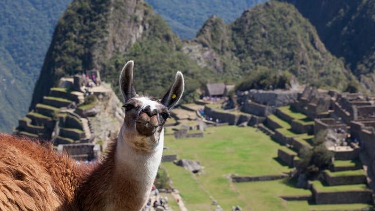 Machu Picchu