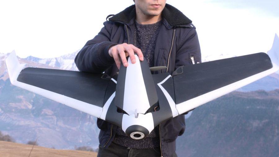 parrot disco