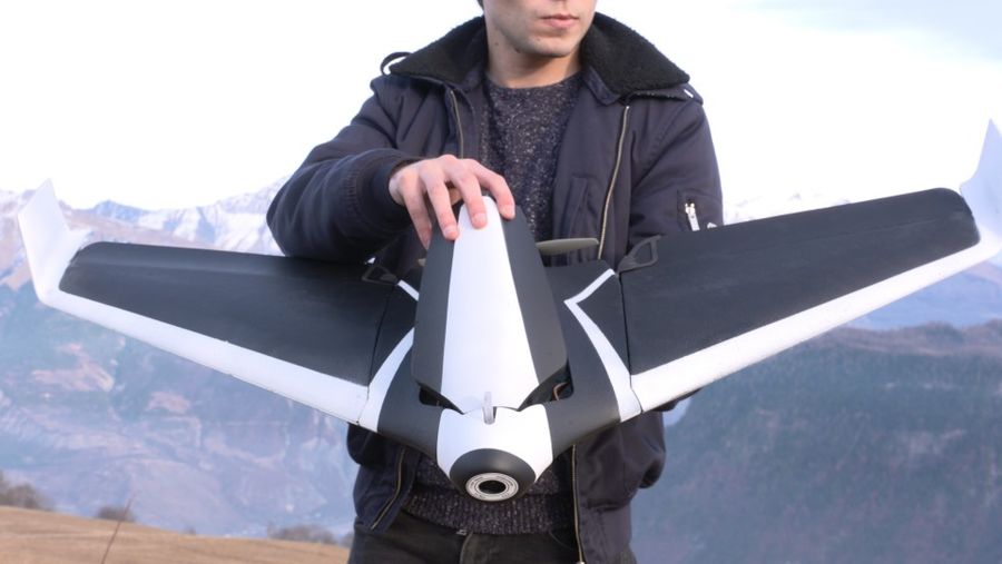 parrot disco