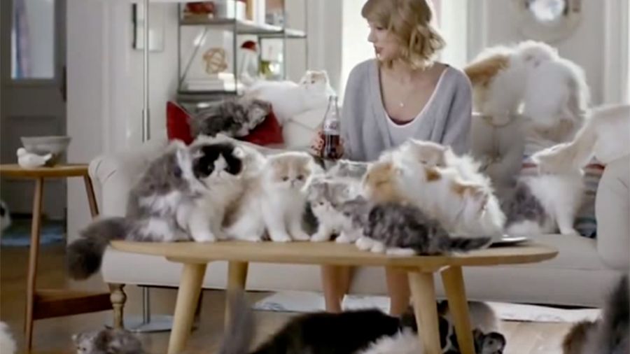 taylor swift