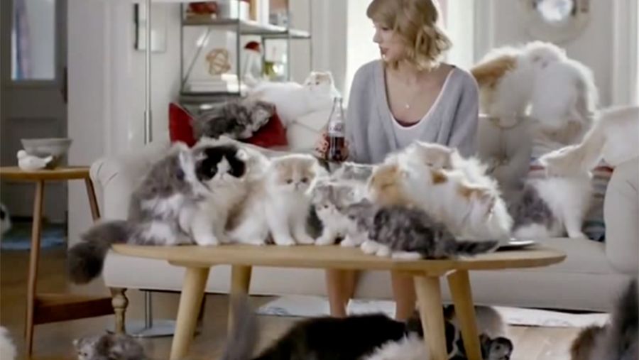 taylor swift