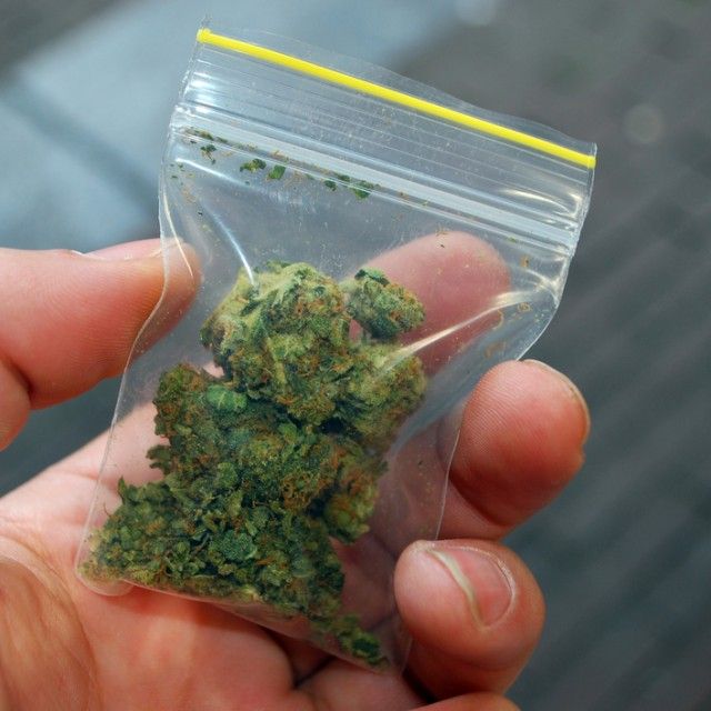 Toronto-based Herbsy will bring you medical marijuana on-demand