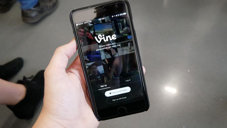 Vine