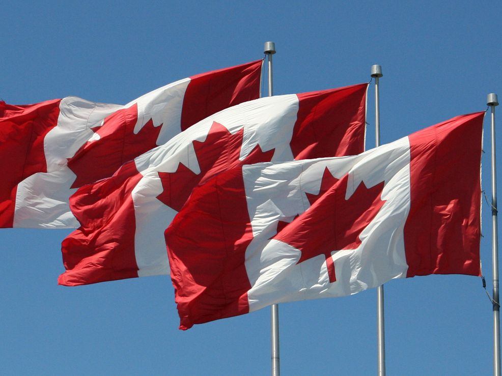 Panicked U.S. citizens crash Canadian immigration site when election turned towards Trump