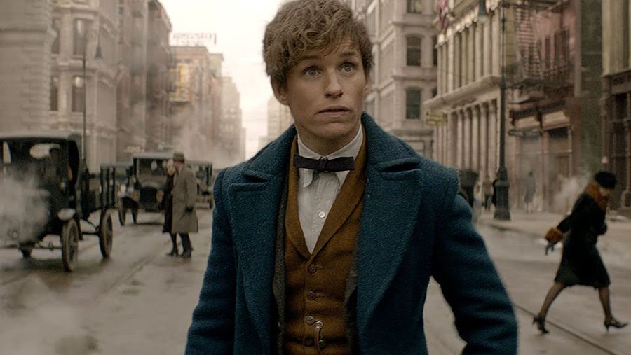 fantastic beasts harry potter