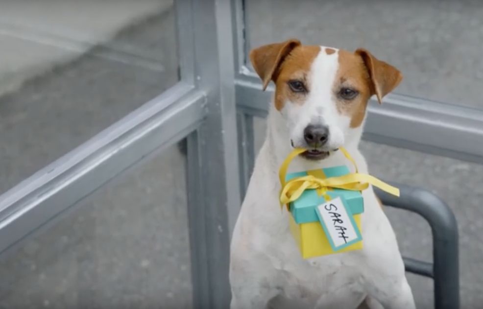 Fido starts on cross-Canada tour giving away LG products and cupcakes