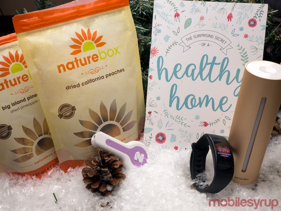 Holiday Gift Guide for the health buff
