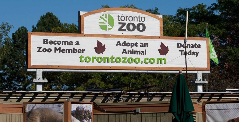 Microsoft takes kids on virtual field trip to Toronto Zoo to celebrate Canada’s 150th birthday