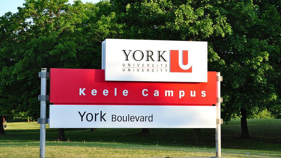 York University - data science