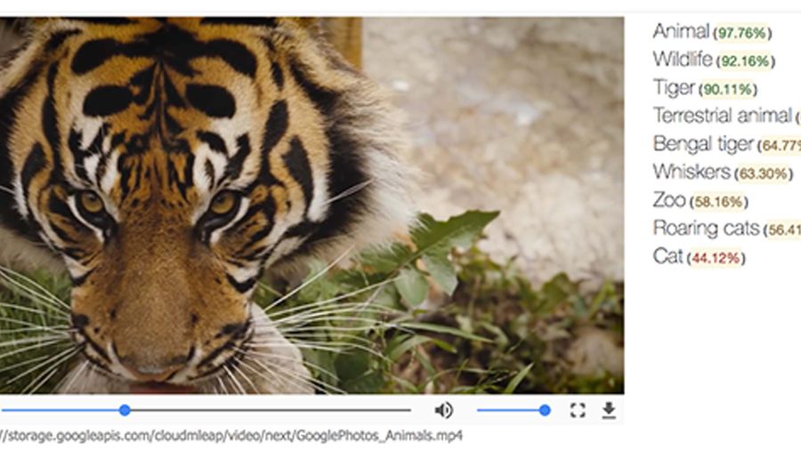 Google Machine learning
