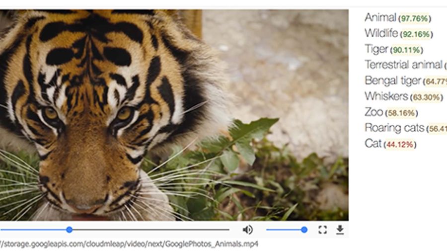 Google Machine learning
