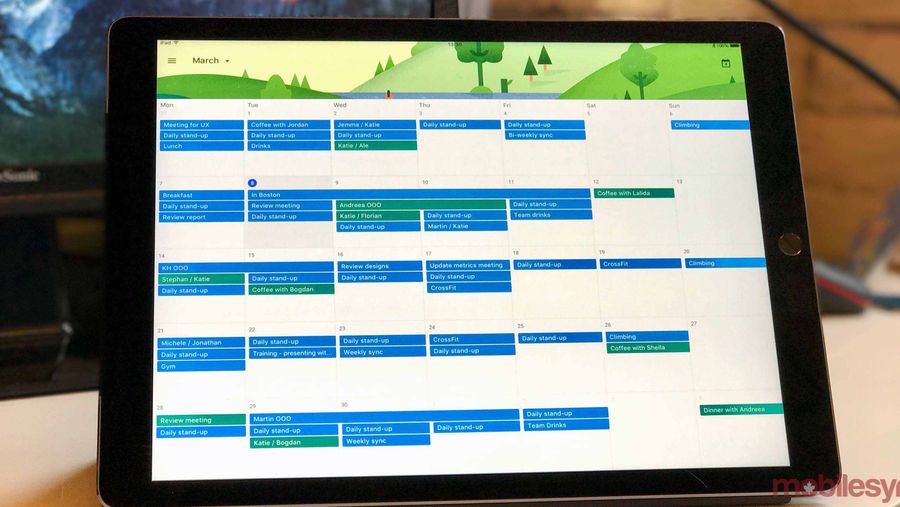Google Calendar ipad