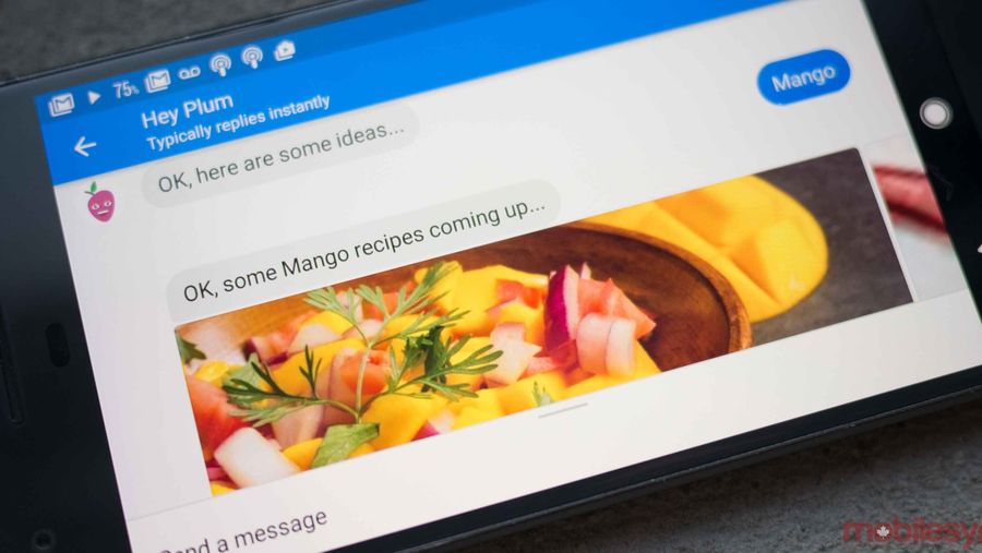 Photo of Plum app on a Google Pixel