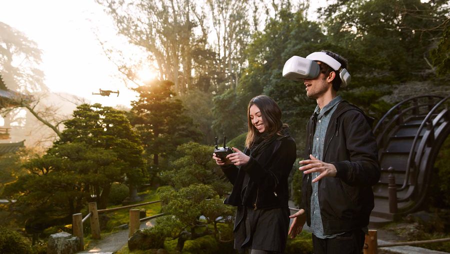 DJI Goggles