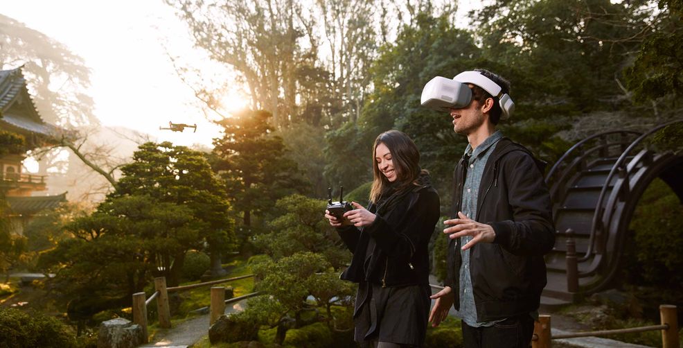 DJI Goggles