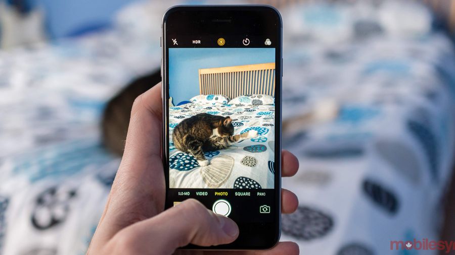 iPhone live photos