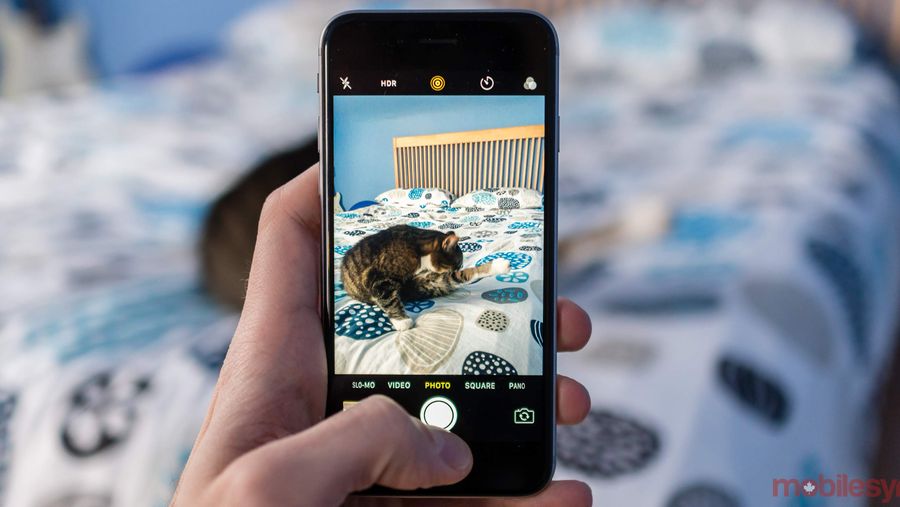 iPhone live photos