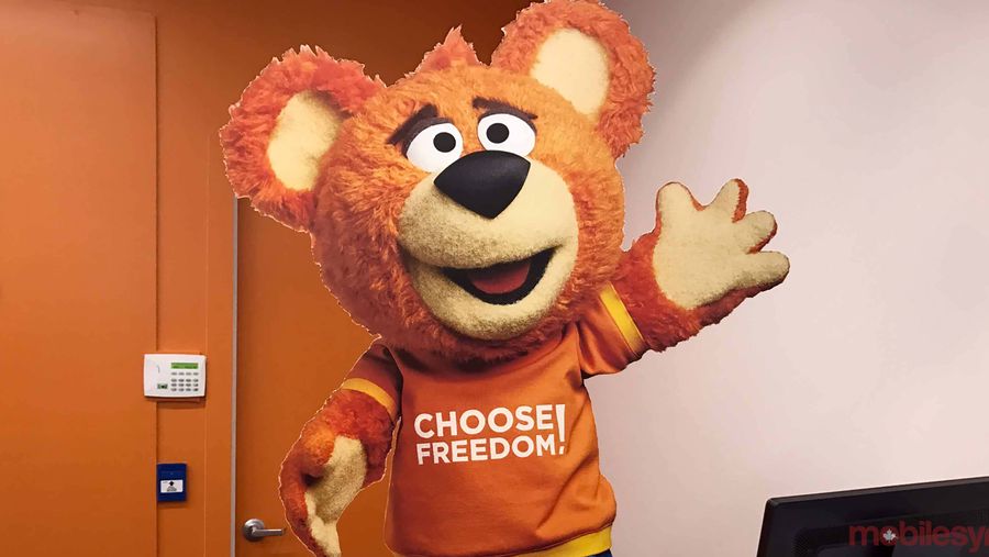 freedom mobile mascot bear