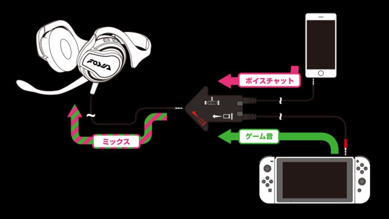 Nintendo Switch voice chat setup