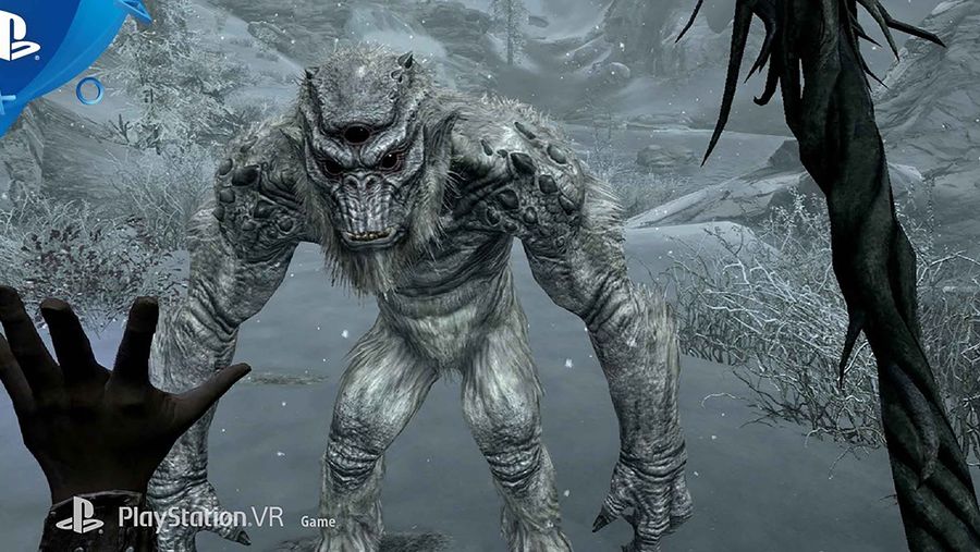Skyrim PS VR