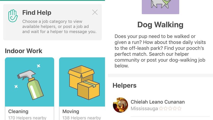 Adam Helps app main screen
