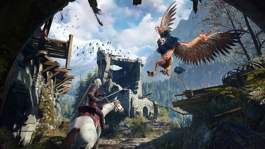 a screenshot from the Witcher 3: Wild Hunt