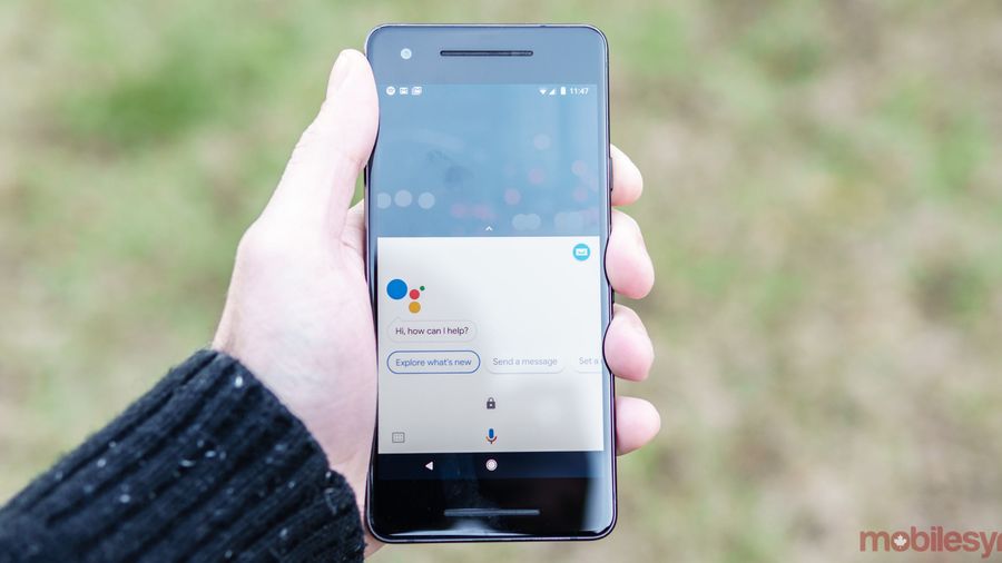 Google Assistant on Pixel 2