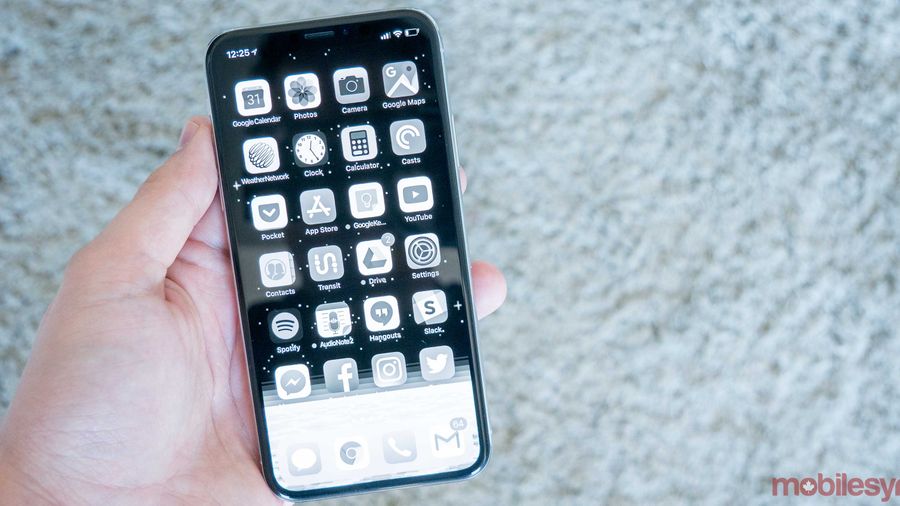 iPhone X grayscale