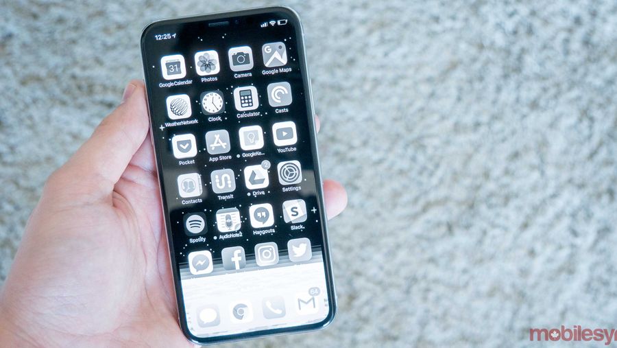 iPhone X grayscale