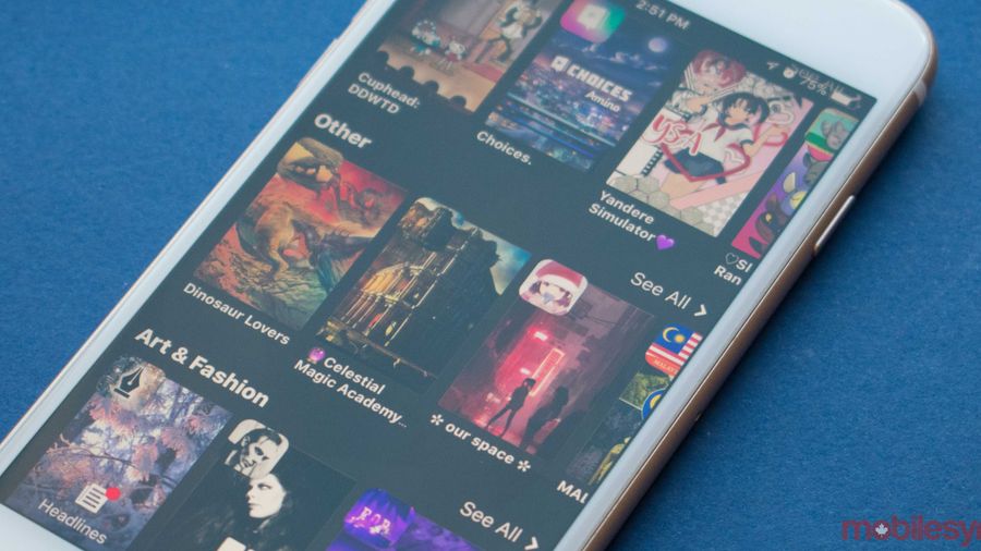 Amino social media app