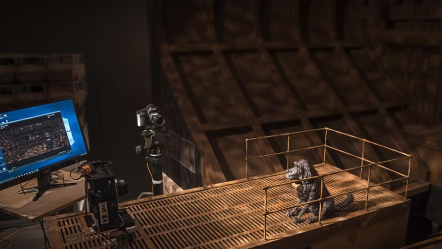 Isle of Dogs
