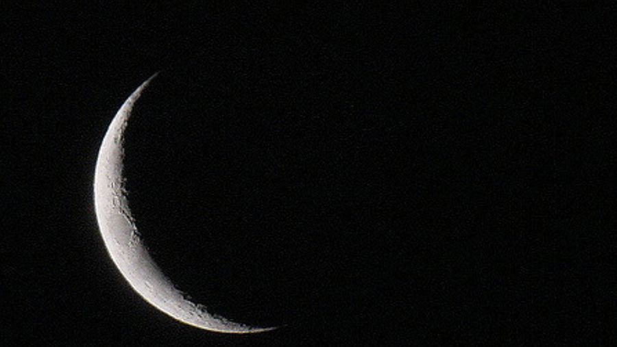 Moon header