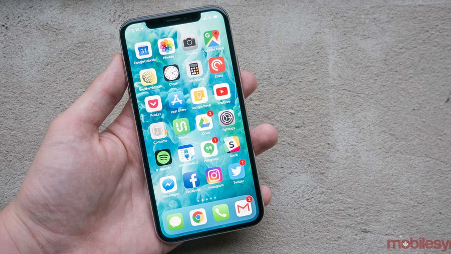 Apple iPhone X in hand