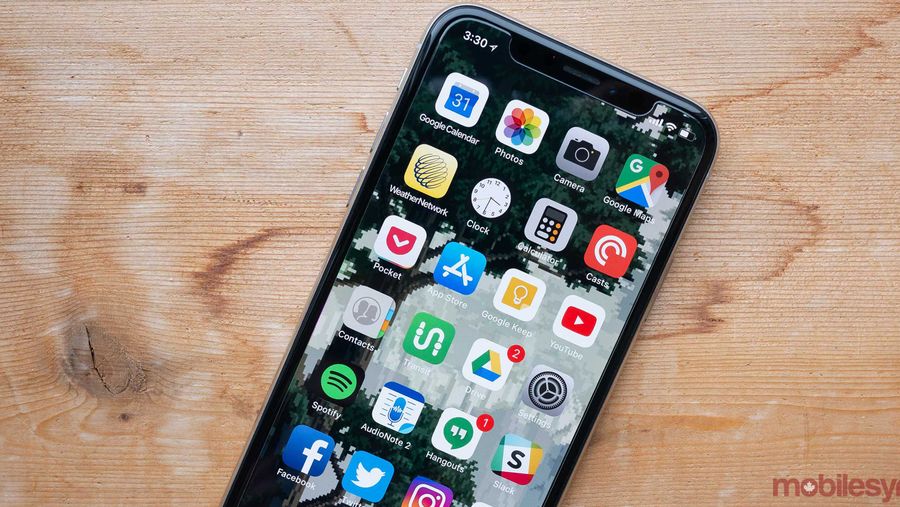 iPhone X
