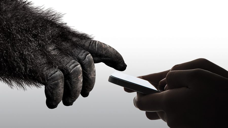 Gorilla Glass 6