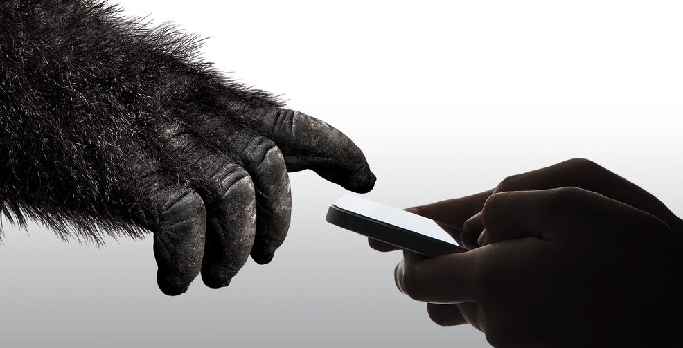 Gorilla Glass 6